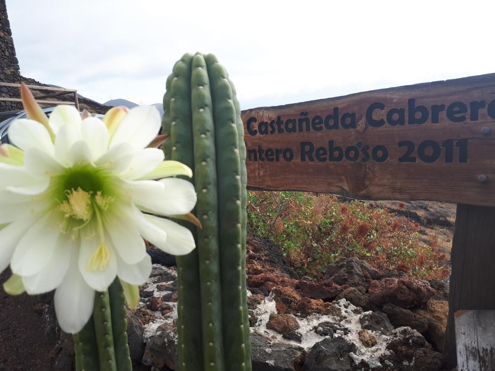 Pajero Las Cadenas Valverde  Luaran gambar